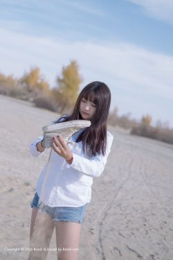 红楼梦87版全集