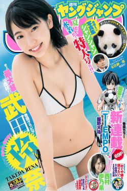 电影遍地狼烟