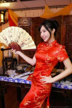 无耻之徒第九季