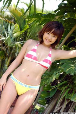 幸福蒲公英