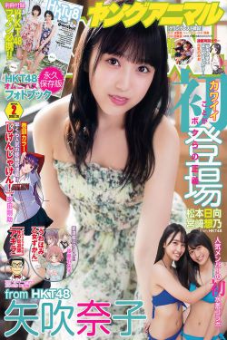 黎明电视剧