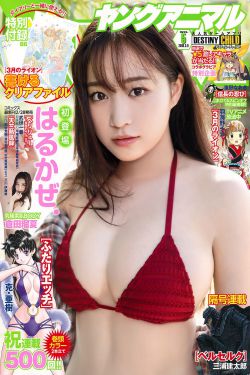 中国在线观看免费国语版