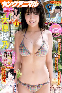 电视剧锦绣安宁免费观看全集